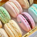 Why Macarons Fail: Common Mistakes and How to Perfect Them