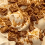 Biscoff Ice Cream