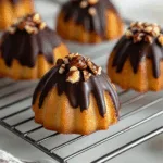 Chocolate Dipped Madeleines