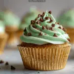 Andes Mint Boozy Cupcakes