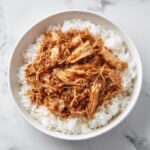 Taiwanese Turkey Rice