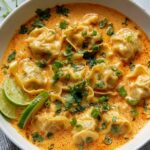 Delicious Curry Dumpling Soup Recipe